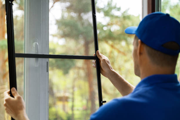 istock man installing insect mesh screen to protect room from mosquito 1146028756