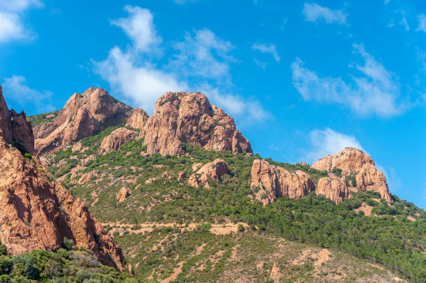 istock Esterel near Antheor massif 1146029995