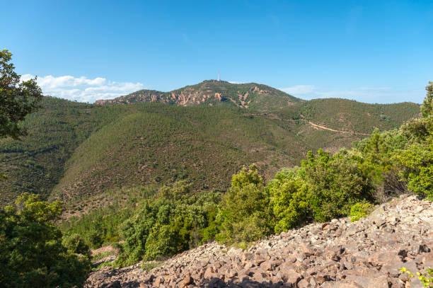 istock View vom Pic du Cap Roux near Antheor 1146030501