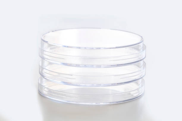 istock Group of Empty Petri Dishes Isolated on White in a Laboratory 1146030748