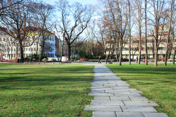 Small park in Turmstrasse (Moabit) in Berlin, Germany The image of small park in grass near Turmstrasse station (Moabit) in Berlin, Germany moabit stock pictures, royalty-free photos & images