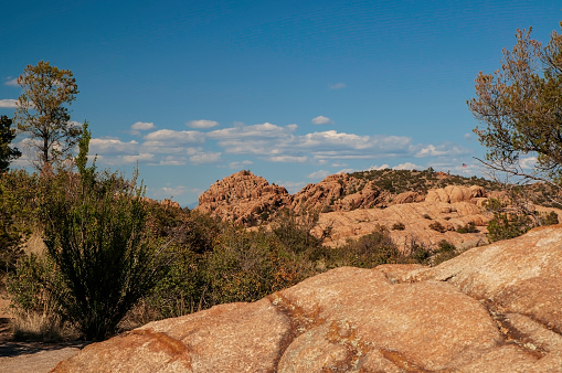 A spring desert scene in Arizona with white clouds and bright blue skies