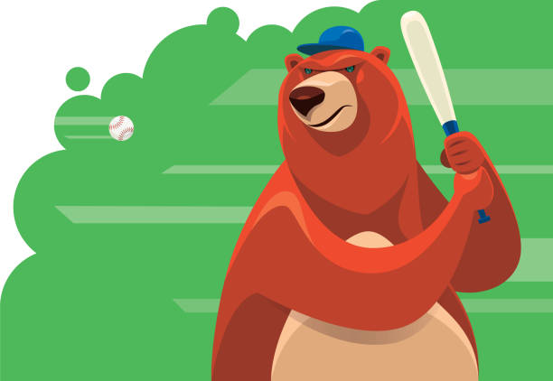 bear holding baseball bat vector illustration of bear holding baseball bat bear stomach stock illustrations