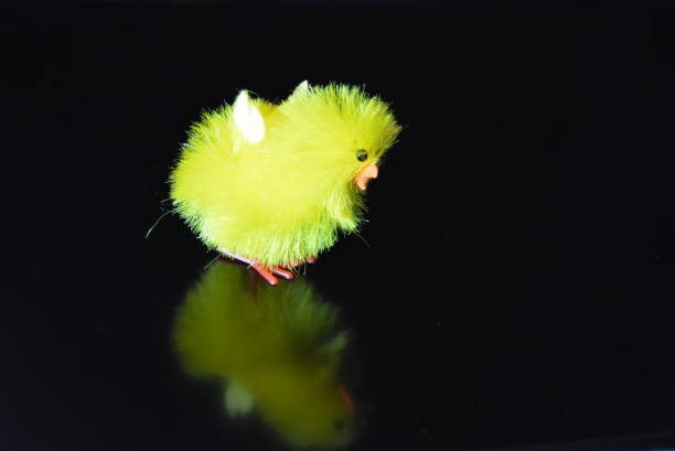 Unusual photos of various unusual things on a black gloss background.  Excellent images with retail reflections and colors.