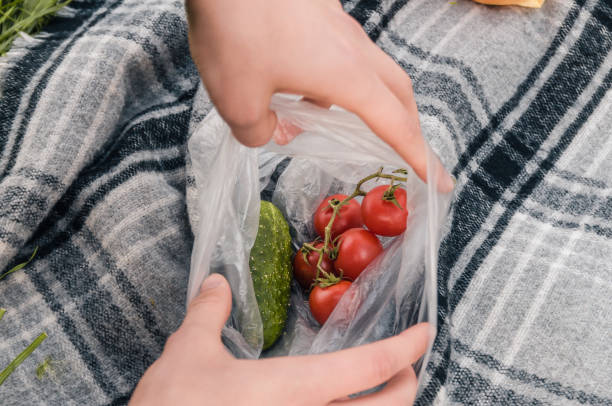 istock tomatoes and cucumbers in the packet 1146033674