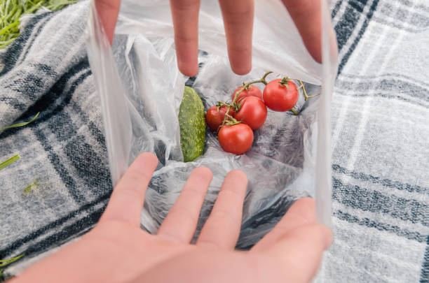 istock tomatoes and cucumbers in the packet 1146034390