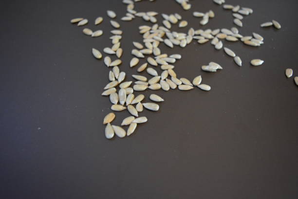 istock Fried sunflower seeds without black shell on matte brown background. 1146036986