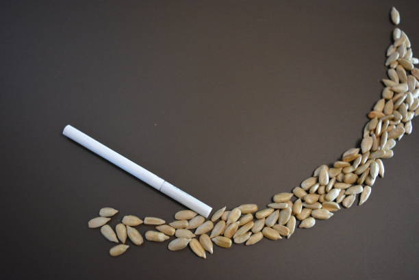 istock White thin cigarette xs with sunflower seeds on a matte brown background. 1146037518