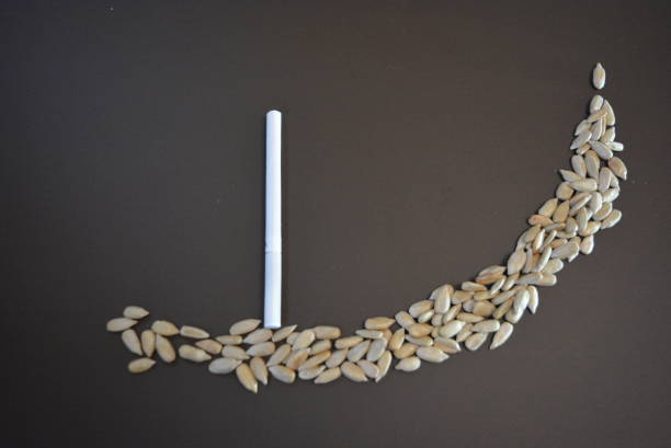 istock White thin cigarette xs with sunflower seeds on a matte brown background. 1146037522
