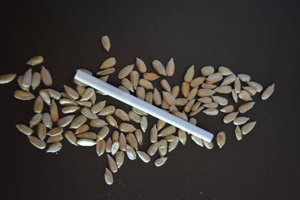 White thin cigarette xs with sunflower seeds on a matte brown background.