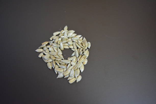 istock Fried sunflower seeds without black shell on matte brown background. 1146037550