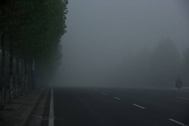 istock Boulevard in the morning mist 1146037948
