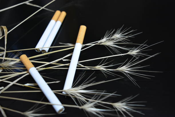 istock Many cigarettes with ears of dry grass on a black glossy background. 1146038003