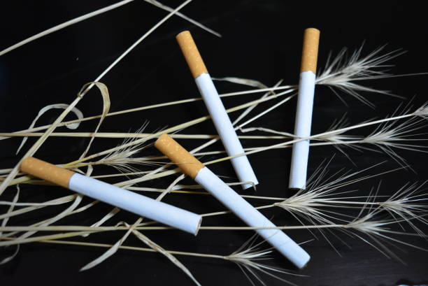istock Many cigarettes with ears of dry grass on a black glossy background. 1146038008
