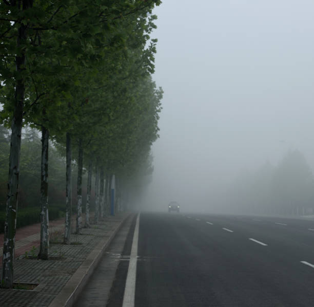istock Boulevard in the morning mist 1146038067