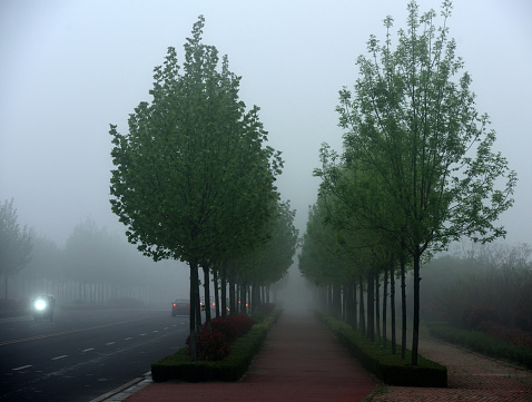 Boulevard in the morning mist.