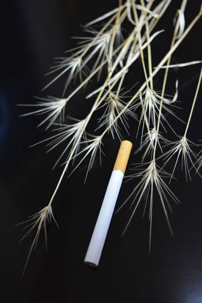 One cigarette with ears of dry grass on a black glossy background.