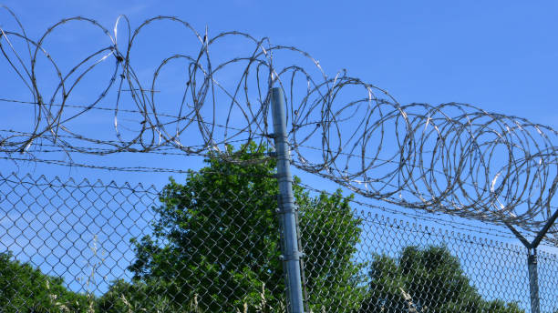 istock Razor wire protecting a government property 1146039866