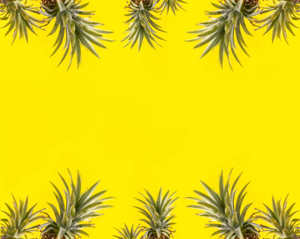 istock Creative pineapple looking up with sunglasses and shell isolated on yellow background, summer vacation beach idea design pattern, copy space close up 1146040919