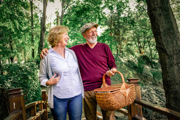 istock cheerful senior couple going for picnic 1146041859