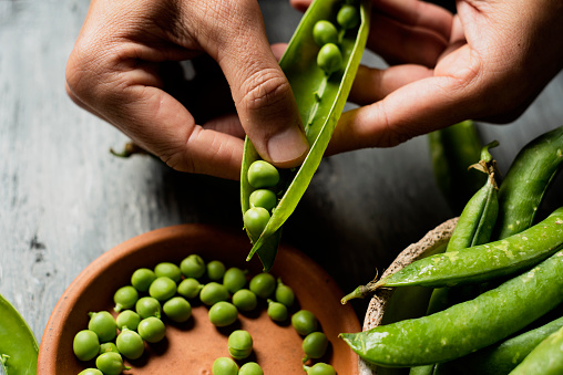 high angle view of a young caucasian man removing green peas from a pea pod with his fingers and putting them in a brown earthenware plate, on a gray rustic wooden table