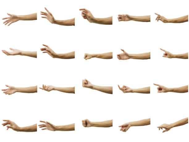 multiple of man's hand gesture isolated on white background. carefully cut out by pen tool and insert a clipping path. - hands open imagens e fotografias de stock