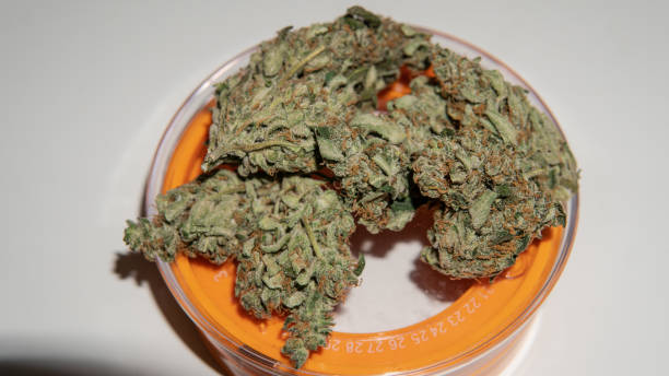 istock Big full on trichomes marijuana buds on the white background close-up. 1146050796