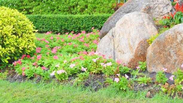 landschaft des blumengartens im suan luang rama ix park, thailand - 11833 stock-fotos und bilder