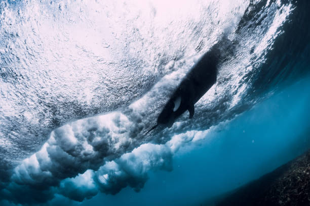 istock Barrel wave underwater with air bubbles. Ocean in underwater 1146051221