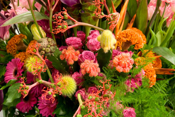 istock Bouquet of exotic flowers 1146051514