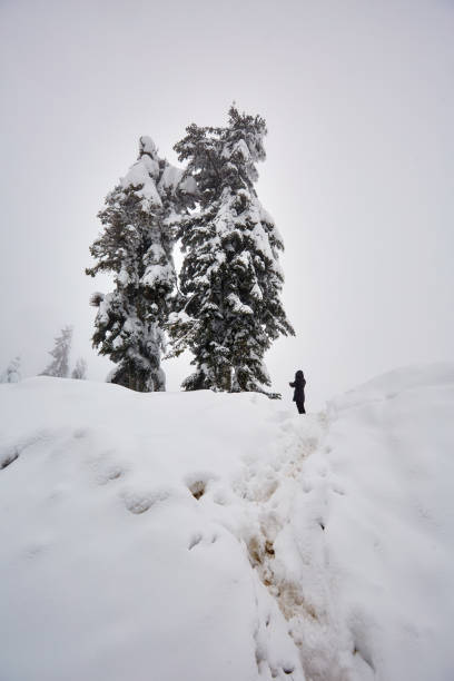 istock Woman taking winter photos 1146053146