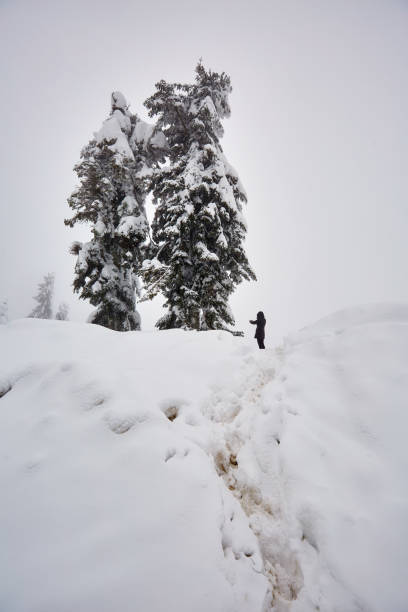 istock Woman taking winter photos 1146053148