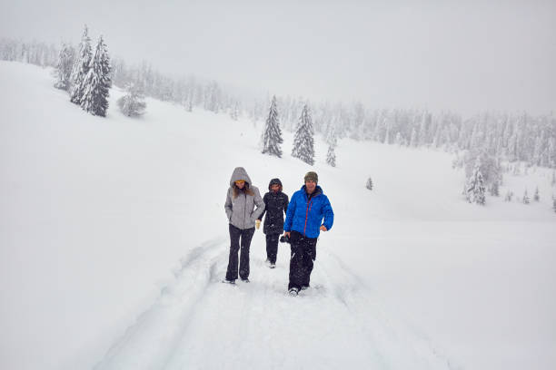 istock Friends hiking on a snowy trail 1146053399