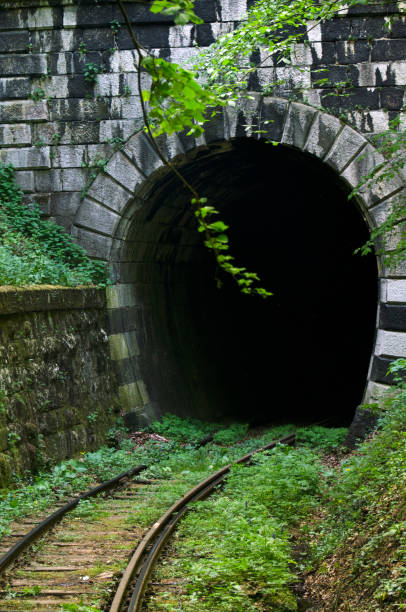 istock Oravita - Anina railway, Romania 1146054502