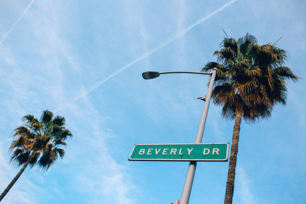 Palm trees in Los Angeles, Beverly Drive