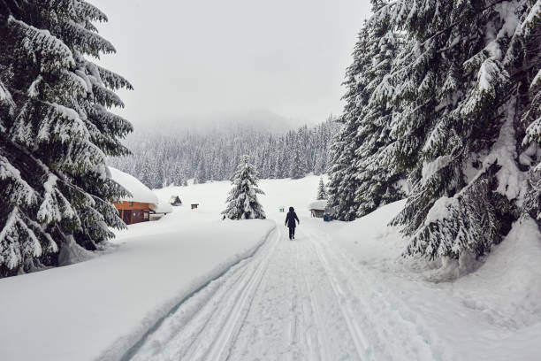 istock Winter holiday happiness 1146055515