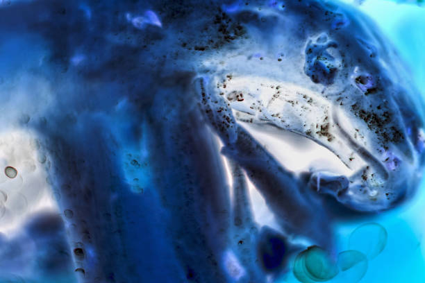 istock cancer cells under a microscope. Tissues affected by cancer cells under the microscope, Science. Cancer drugs. chemistry and biology. 1146057219