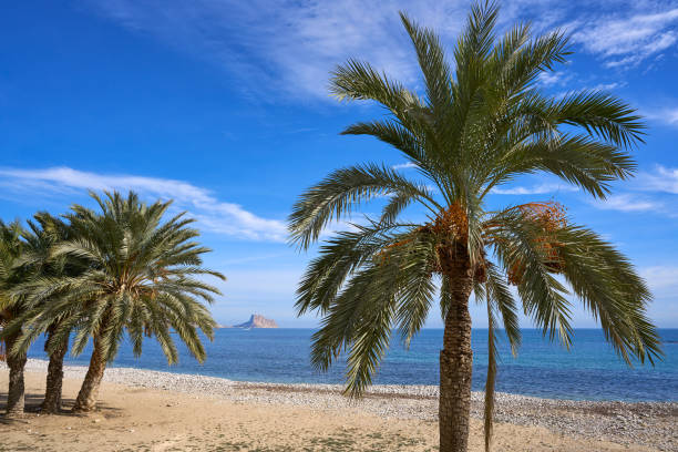 istock Altea Beach Playa La Roda in Alicante 1146057396