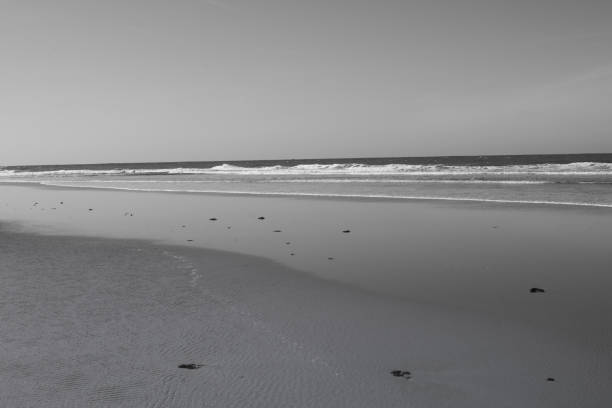 istock noja beach and nature 1146057578