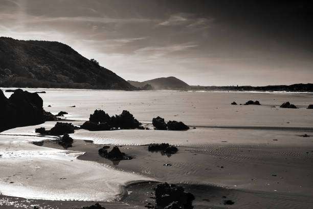 istock noja beach and nature 1146057605