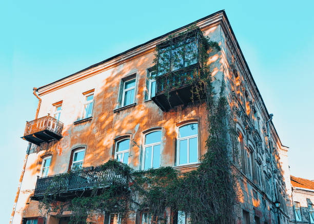 istock Fragment of ivy mantled building toned 1146063640