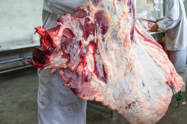 istock Beef in the slaughterhouses Thailand 1146065367