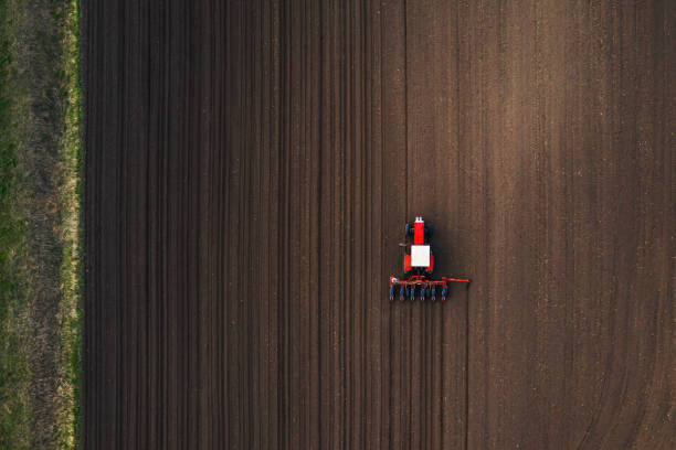 istock Top view of tractor planting corn seed in field 1146067171