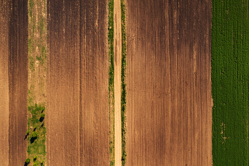 Aerial view of dirt road through agricultural field top down view from drone pov, abstract nature background