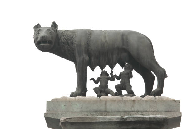 kapitoline wolf rief lupa capitolina in italienischer sprache mit - piazza del campidoglio statue rome animal stock-fotos und bilder