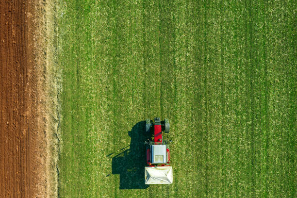 istock Agricultural tractor is fertilizing wheat crop field 1146067464