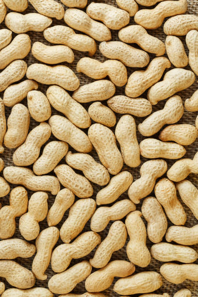 istock Peanuts in their shell textured food background. 1146068828