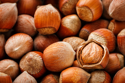 Halzelnut Background Hazelnuts Stack Of Hazelnuts Food Background Hazelnut Background ...