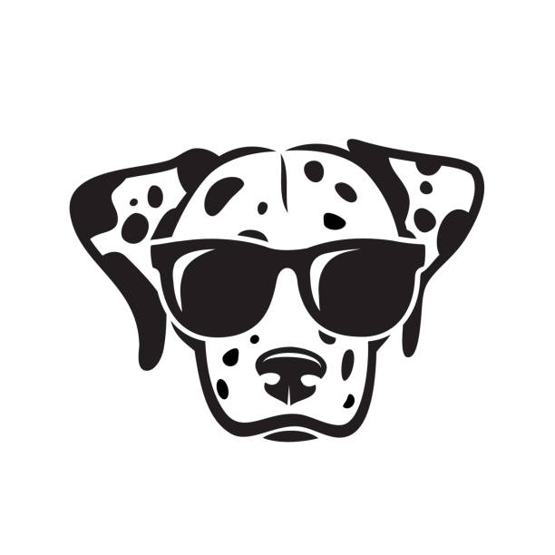 Dalmatian dog wearing sunglasses - vector illustration Dalmatian dog wearing sunglasses dalmatian stock illustrations