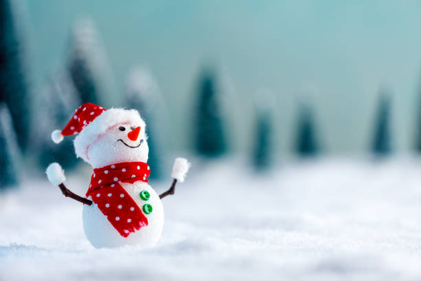 Snowman In Snowy Winter Wonderland - Christmas Concept